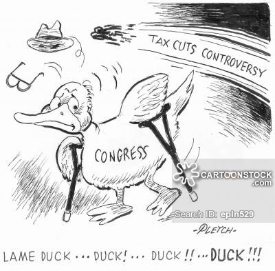 what is lame duck in stock market