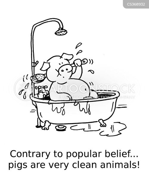 agriculture-pigs-clean-clean_animals-dirty-dirty_animals-gwan896_low.jpg