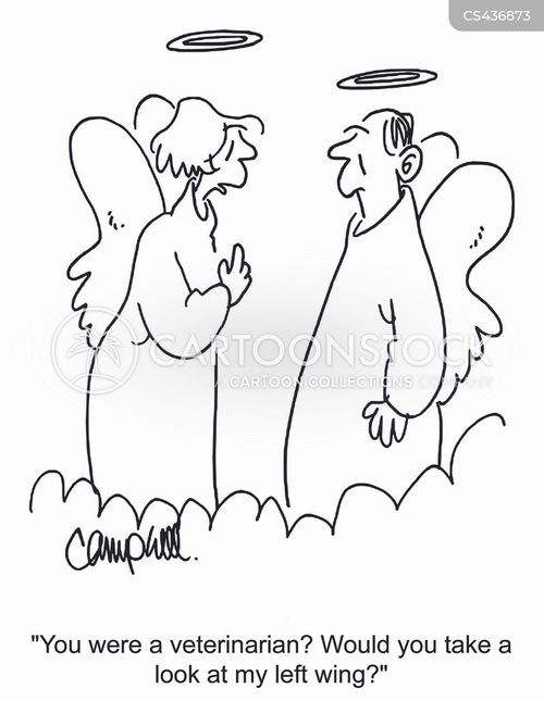 Broken Wings Cartoons and Comics funny pictures from CartoonStock