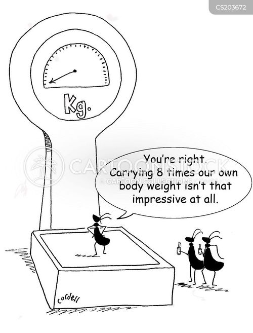 Punch Above Your Weight Cartoons and Comics funny pictures from CartoonStock
