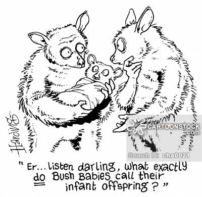 Bush Baby Cartoons and Comics - funny pictures from ...