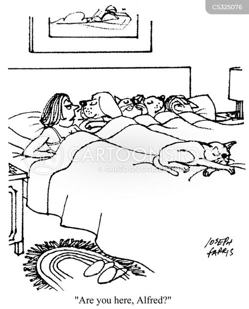 Dog Bed cartoons, Dog Bed cartoon, funny, Dog Bed picture, Dog Bed ...