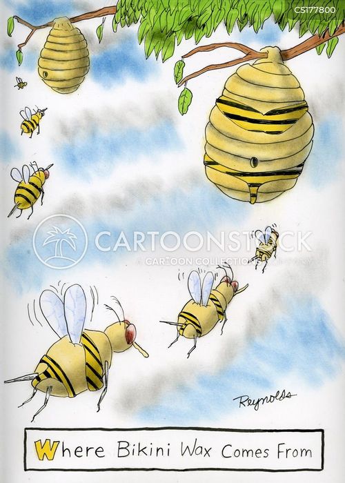 Bikini Line Cartoons and Comics funny pictures from CartoonStock