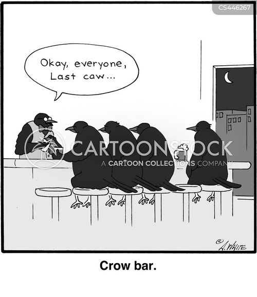 animals-bird-crow-ornithology-ornithologists-saloon-awhn663_low.jpg