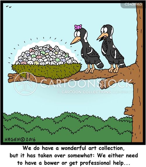 Magpies Cartoons and Comics funny pictures from CartoonStock