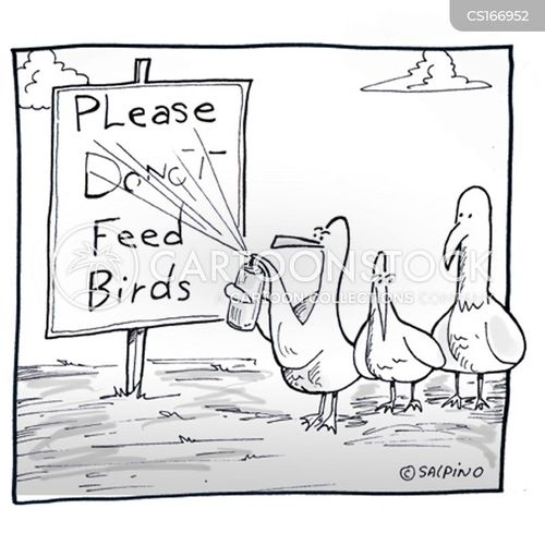animals-birds-graffiti-graffitists-regulation-rule-msan1_low.jpg