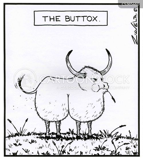 animals-butt-animal_humor-animal_joke-butts-oxen-tzun10_low.jpg