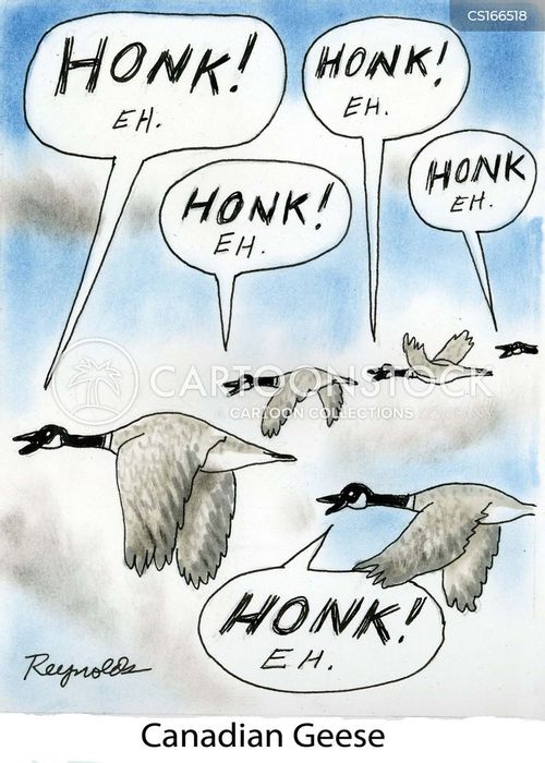 Goose Cartoons and Comics funny pictures from CartoonStock