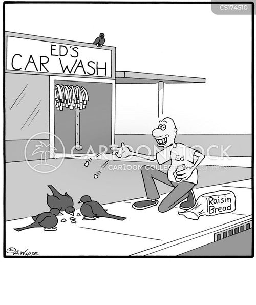 Car Wash Cartoons and Comics funny pictures from CartoonStock