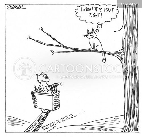 Cherry Picker Cartoons and Comics - funny pictures from CartoonStock