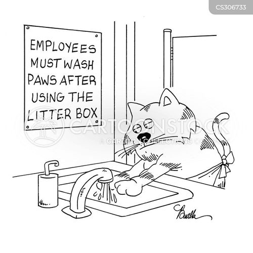 Litter Boxes Cartoons and Comics funny pictures from CartoonStock