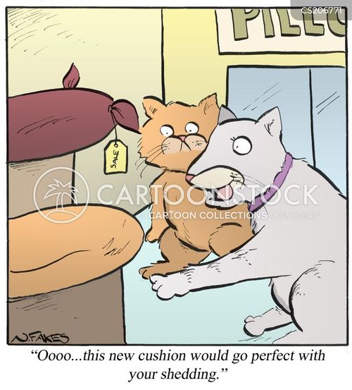 Cat Bed cartoons, Cat Bed cartoon, funny, Cat Bed picture, Cat Bed ...