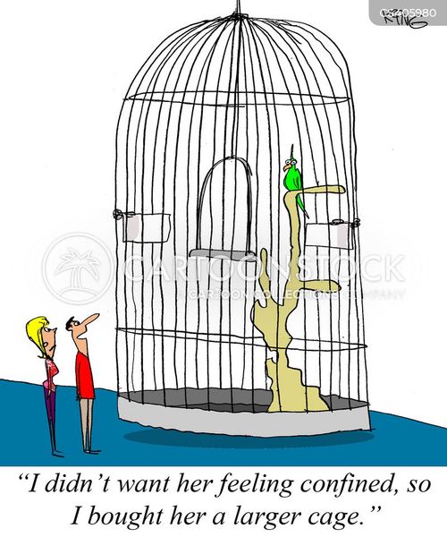 Bird Cages Cartoons and Comics funny pictures from CartoonStock