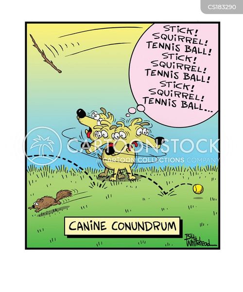 Conundrum Cartoons and Comics funny pictures from CartoonStock