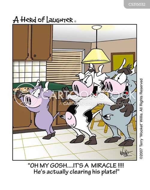 Heifers Cartoons And Comics Funny Pictures From Cartoonstock