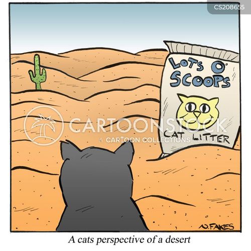 Cat Litters Cartoons and Comics funny pictures from CartoonStock