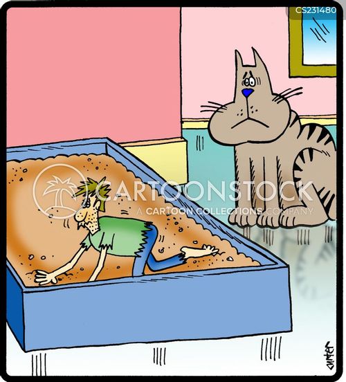 Litterboxes Cartoons and Comics funny pictures from CartoonStock