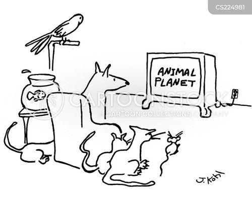 Animal Tv Shows Cartoons and Comics - funny pictures from CartoonStock