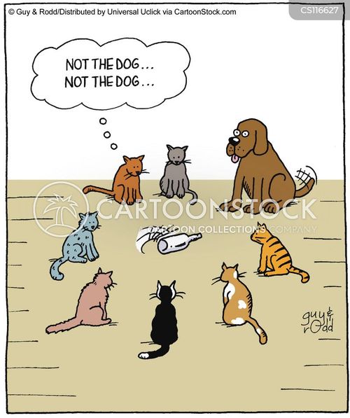 Pet Lovers Cartoons and Comics - funny pictures from CartoonStock