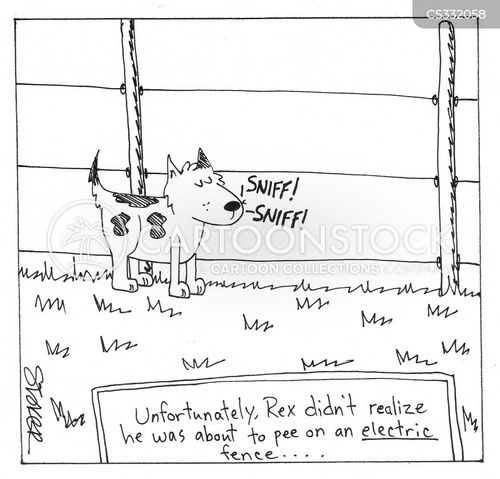 animals-dog-electric_fence-electricity-electric_shocks-shocks-rst0033 ...