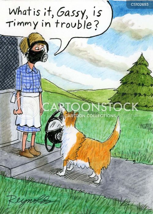 Smelly Dog Cartoons and Comics funny pictures from CartoonStock