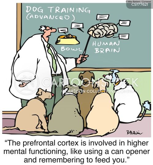 Doggy School Cartoons and Comics - funny pictures from CartoonStock