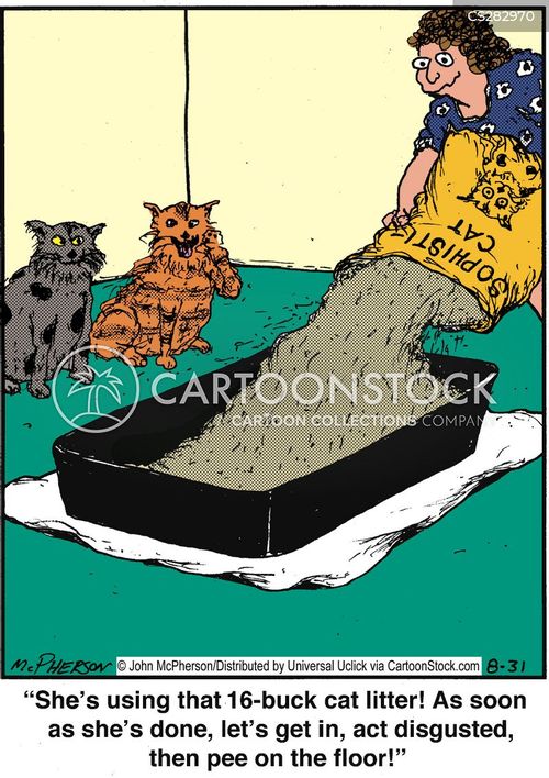 Cat Litter Cat Litters Cartoons and Comics funny pictures from