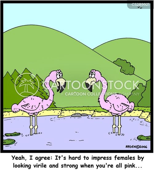 Female testosterone