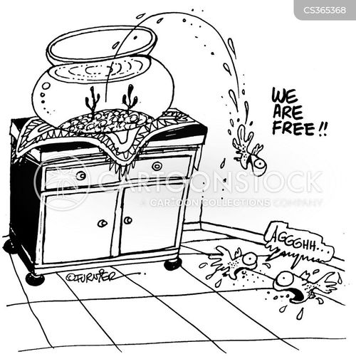 Out Of The Frying Pan Into The Fire Essay