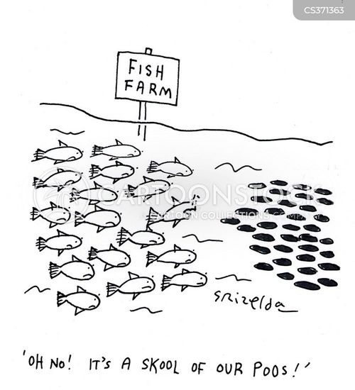 Salmon Fishing Cartoons and Comics funny pictures from CartoonStock