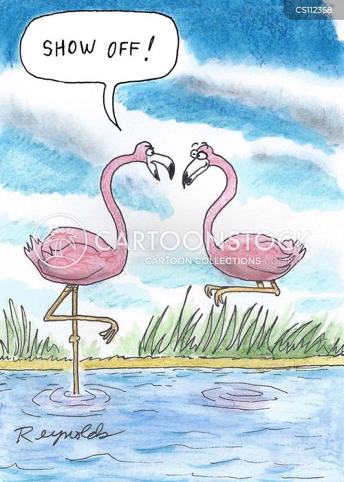 A Flamingo Cartoon Network