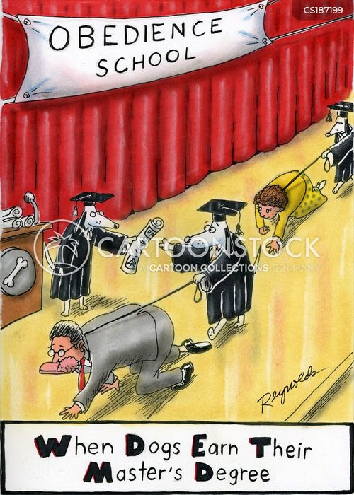 animals-graduate-graduation-dog-master-masters_degree-dre0886_low.jpg