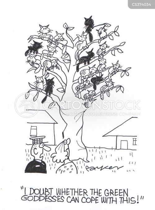 Cat Stuck Up A Tree Cartoons and Comics funny pictures from CartoonStock