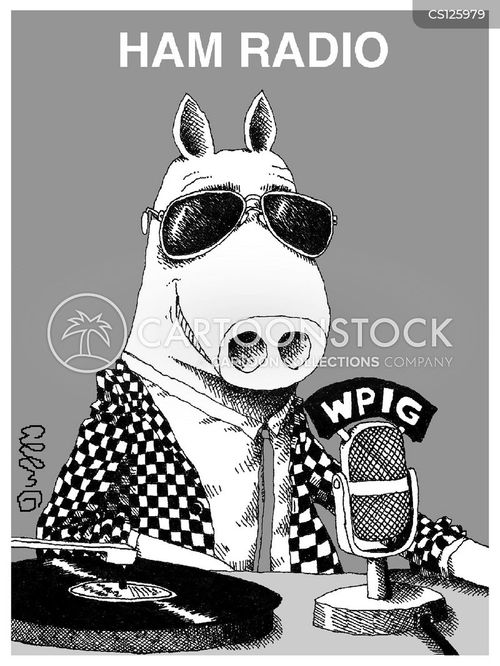 animals-ham_radio-radios-pigs-dee_jay-dj-jdun493_low.jpg