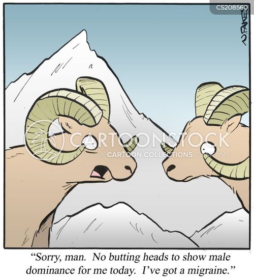 Head Butting Cartoons and Comics funny pictures from CartoonStock