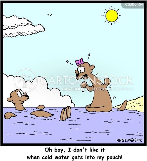 Kangaroos Pouch Cartoons and Comics funny pictures from CartoonStock