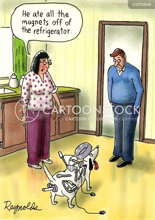 Fridge Cartoons and Comics funny pictures from CartoonStock
