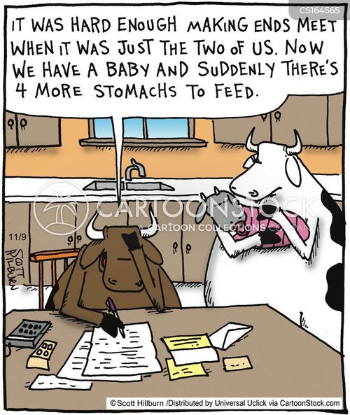 Cow Cartoons and Comics  funny pictures from CartoonStock