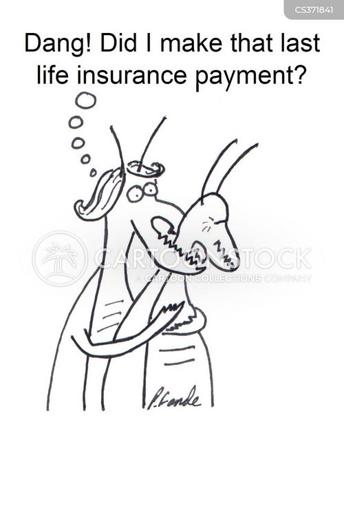 Preying Mantis cartoons, Preying Mantis cartoon, funny, Preying Mantis picture, Preying Mantis pictures, Preying Mantis image, Preying Mantis images, Preying Mantis illustration, Preying Mantis illustrations