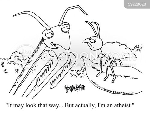 Preying Mantis cartoons, Preying Mantis cartoon, funny, Preying Mantis picture, Preying Mantis pictures, Preying Mantis image, Preying Mantis images, Preying Mantis illustration, Preying Mantis illustrations