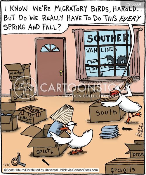 Moving Cartoons and Comics - funny pictures from CartoonStock