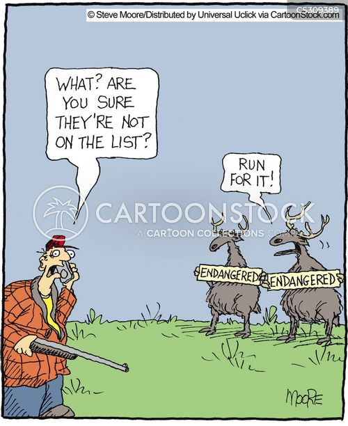 Moose Hunter cartoons, Moose Hunter cartoon, funny, Moose Hunter