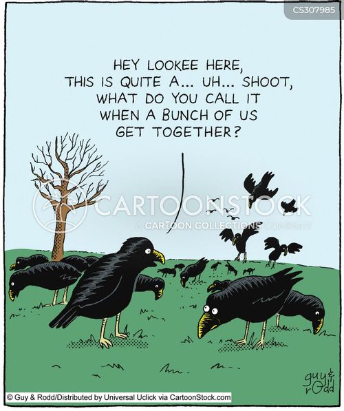 Murder Of Crows Cartoons and Comics - funny pictures from CartoonStock