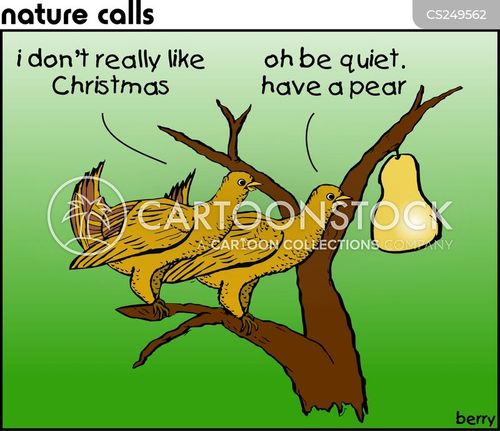animals-nature-birds-calling_birds-pear_tree-christmas-bwjn23_low.jpg