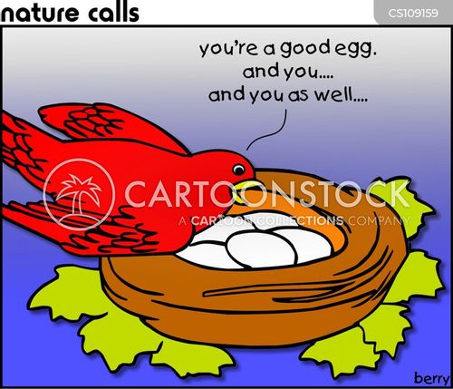 animals-nature_calls-animals-egg-chicks-eggs-bwjn123_low.jpg