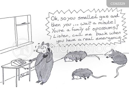 Virginia Opossum Cartoons and Comics - funny pictures from CartoonStock