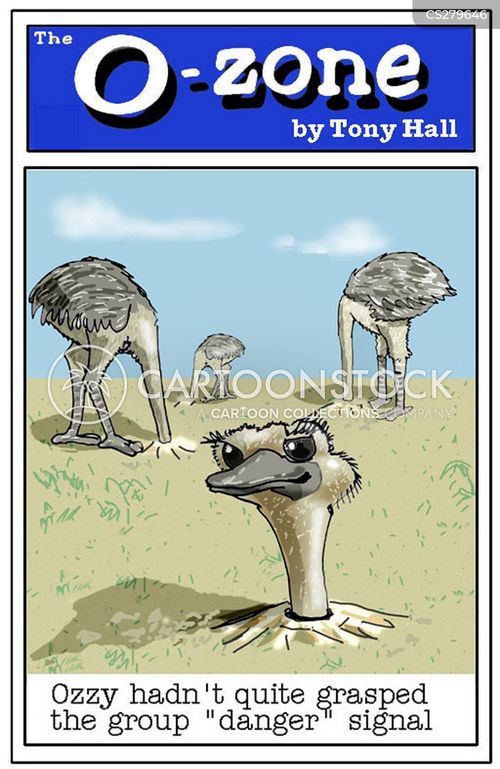 Bury Your Head In The Sand Cartoons and Comics funny pictures from