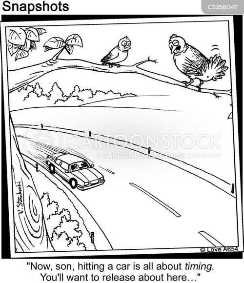 animals-parent-parenting-life_lessons-targetting-bird_poo-jlvn765_low.jpg