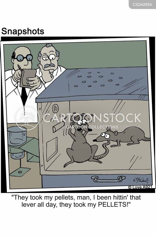 Laboratory Rat Cartoons and Comics funny pictures from CartoonStock