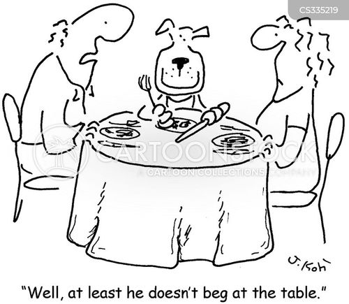 animals-pet-dogs-begs-beggars-dog_owners